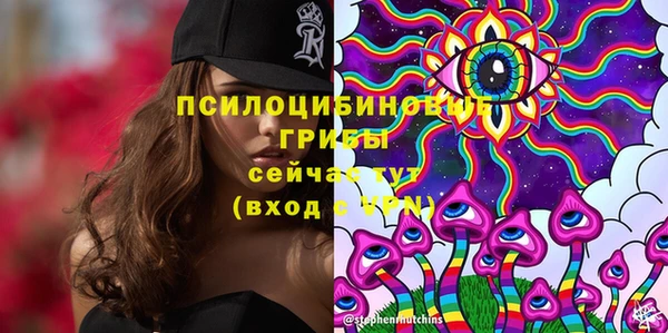 таблы Алзамай