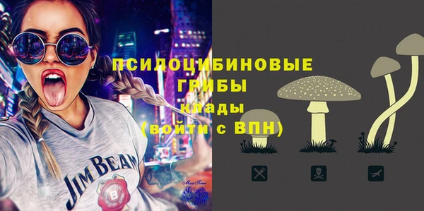 твердый Армянск